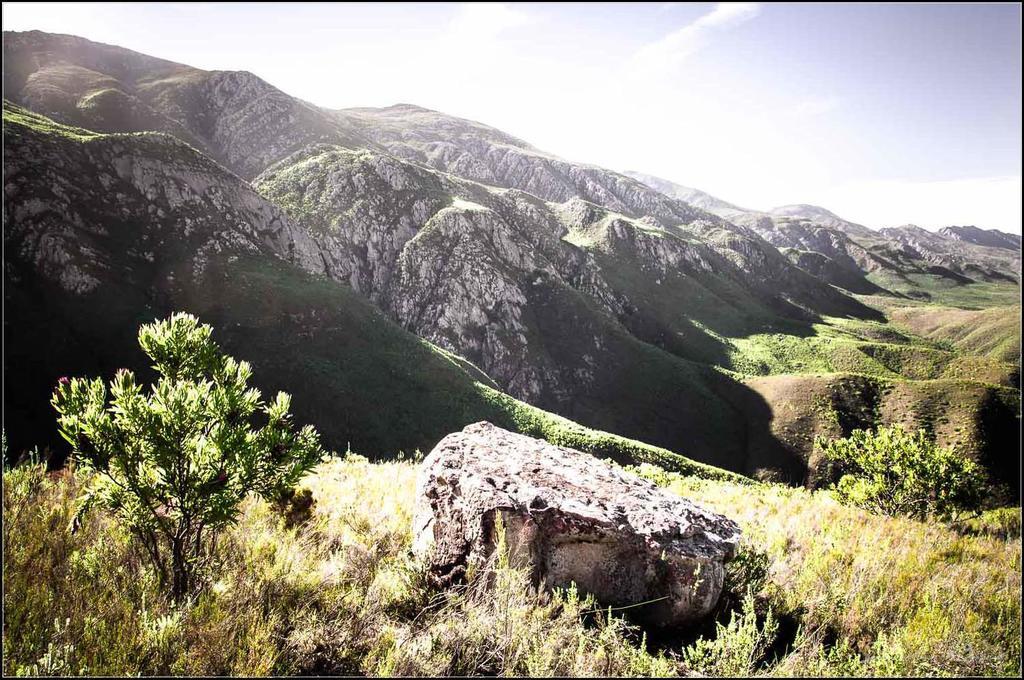 Pat Busch Mountain Reserve Robertson Exterior foto
