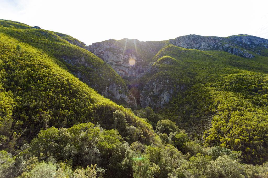 Pat Busch Mountain Reserve Robertson Exterior foto